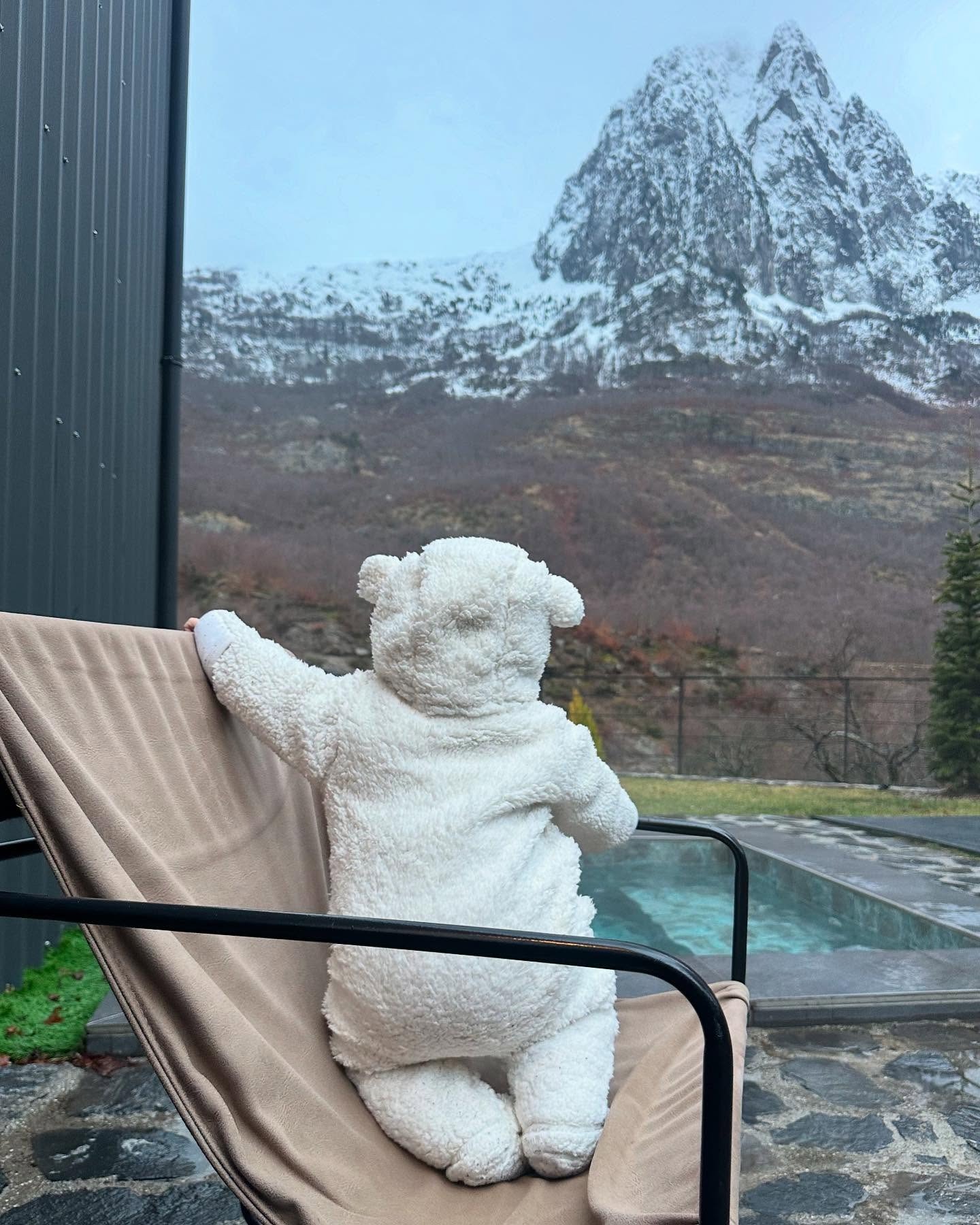 Pool and bathing experience at North Alpine Villas