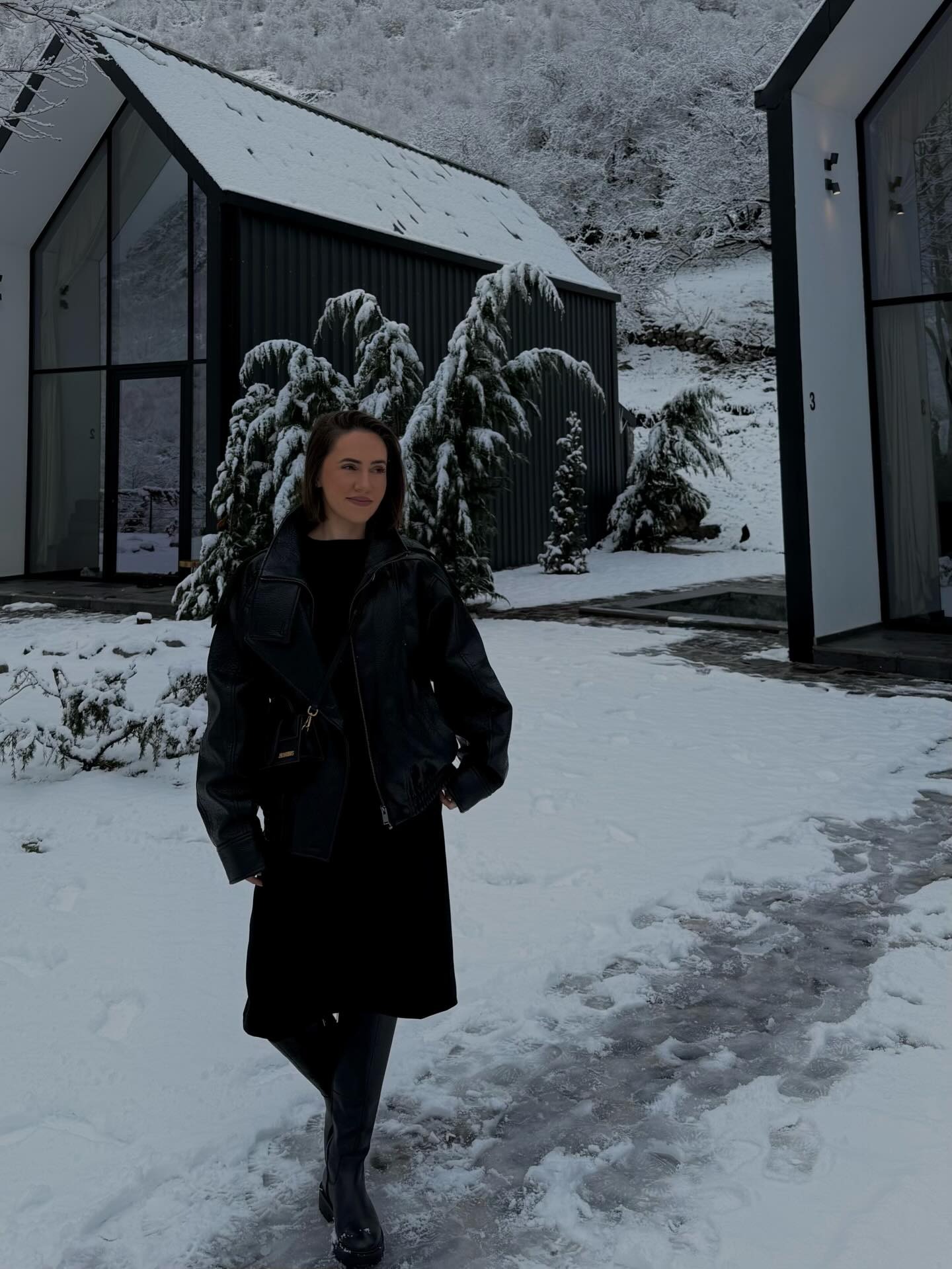 Villas and architecture at North Alpine Villas
