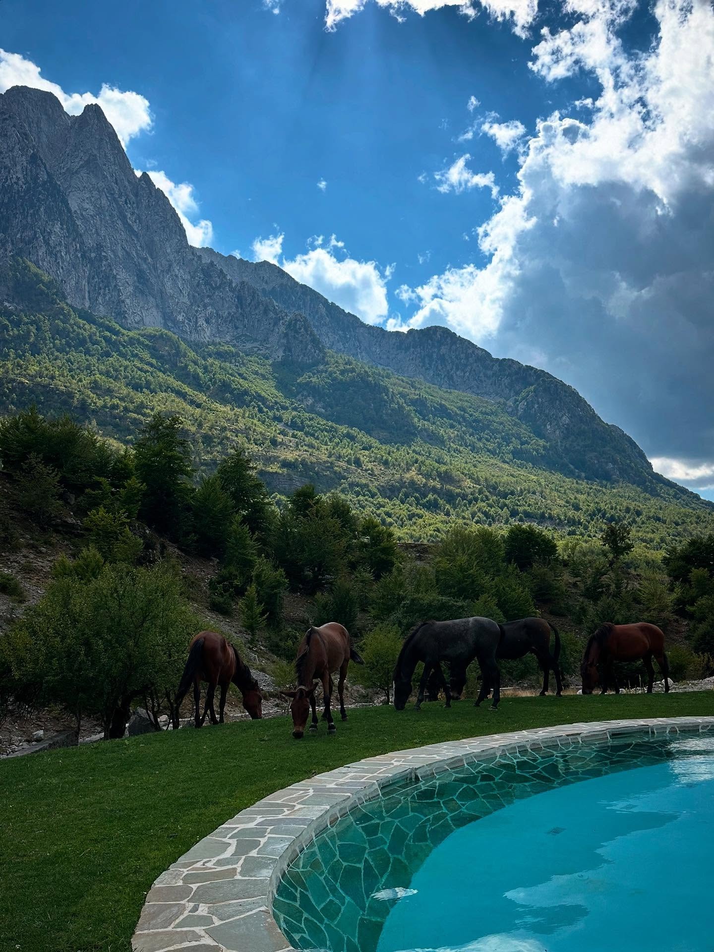 Pool and bathing experience at North Alpine Villas