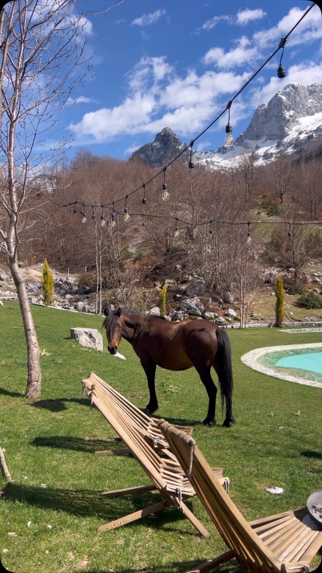 Pool and bathing experience at North Alpine Villas