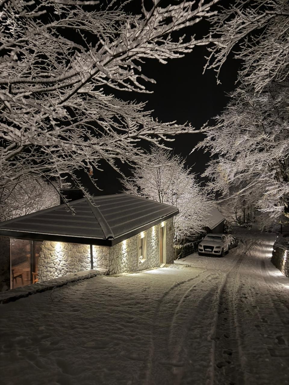 North Alpine Villas in winter