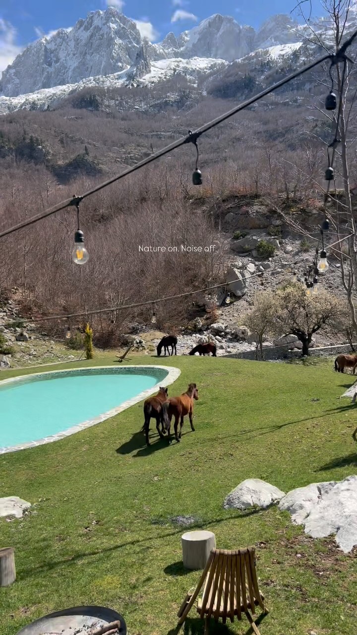 Pool, horses and mountain setting at North Alpine Villas